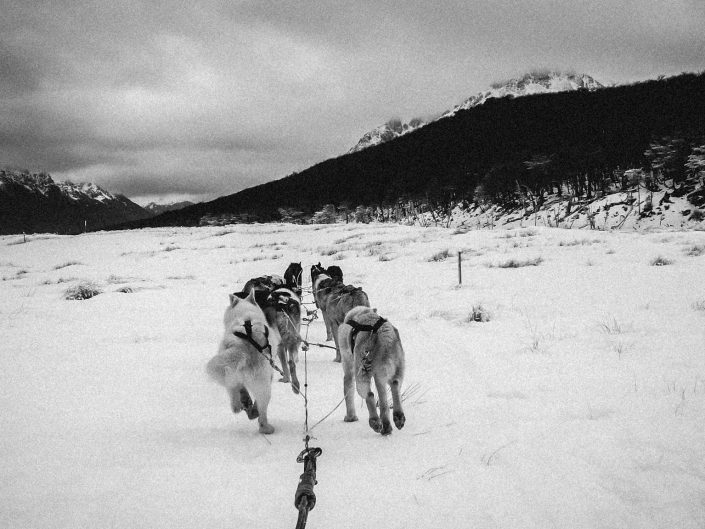 Patagonia, Argentina, Chile, Andes, Cordilheira, De los Andes, Cordillejra, ushuaia, fin del mundo, fim do mundo, bobsled, treno, husky